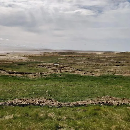 Dom wakacyjny 4 Star In Romo-by Traum