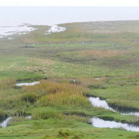 4 Star In Romo-by Traum Dom wakacyjny *