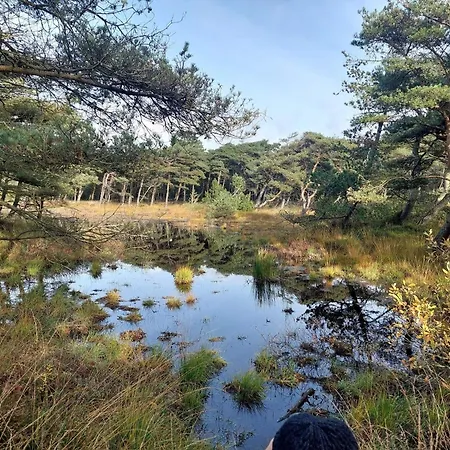 4 Star In Romo-by Traum Dom wakacyjny Sønderby