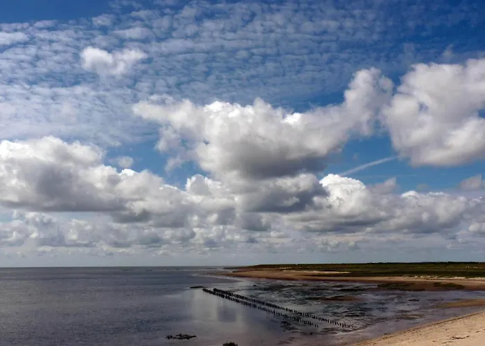 4 Star In Romo-by Traum 펜션 *